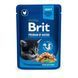 Вологий корм для кошенят Brit Premium Chunks Gravy 100 г - курка 100274 /506026 фото 1