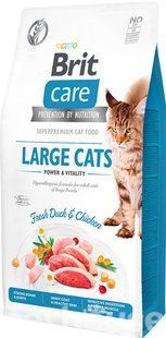 Сухий корм для котів Brit Care Cat Grain Free Large Cats Power & Vitality 2 кг 171309/0907 фото