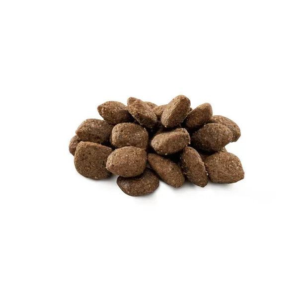 Корм сухий Brit Premium Dog Sensitive Lamb для собак з чутливим травленням з ягням 15 кг 170843/6628 фото