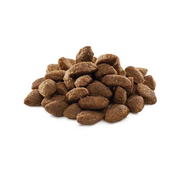 Сухий корм для собак Brit Premium by Nature Sport з куркою 3 кг 170848/6673 фото