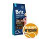 Корм сухий Brit Premium Dog Sensitive Lamb для собак з чутливим травленням з ягням 15 кг 170843/6628 фото 1