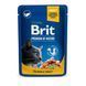 Корм вологий Brit Premium Salmon and Trout pouch для котів з лососем і фореллю 100 г 100271 /505999/24 фото 1