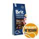 Сухий корм для собак з надмірною вагою Brit Premium Dog Light 15 кг 170839/6581 фото 1