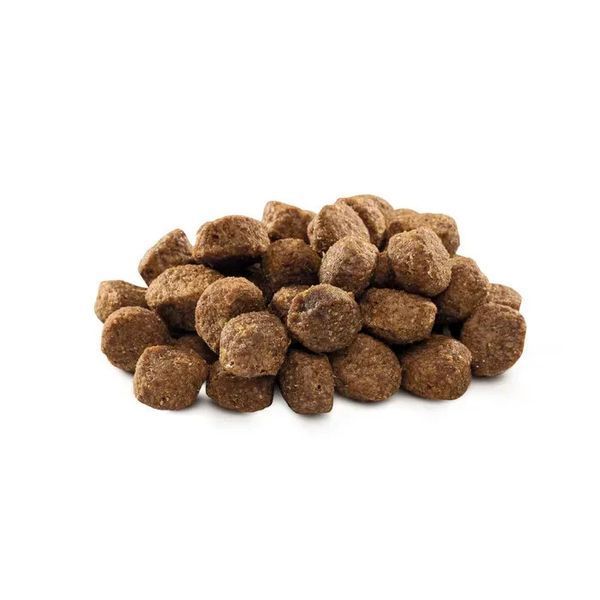 Сухий корм для літніх собак Brit Premium Dog Senior S+M з куркою 3 кг 170820/6390 фото
